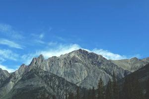 Top Ten Lessons the Book Series Warrior Cats Has Taught Us