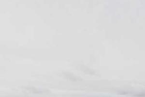 Top 10 Best Domestic Twenty20 Cricket Teams