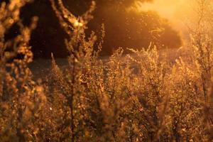 Top 10 Things to Do on Minecraft