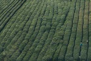 Top 10 Man United Heartbreaks of 2011-12