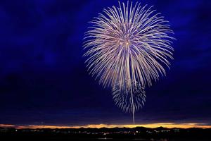 Top 10 Saddest The Ballad of Songbirds and Snakes Deaths