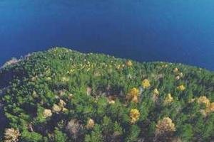 Top 10 Biggest Misconceptions About Adulthood