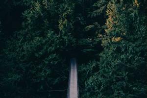 Top Ten Verses in the Gospel of Matthew
