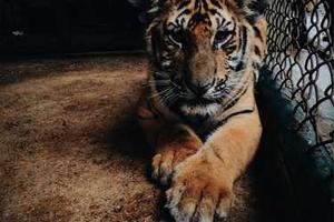 Top 10 Reasons Pokmon Red and Blue Haven