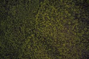 Top 10 Worst Things About Pop-Punk Music