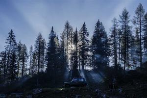 Top 10 Best Family Guy Quotes