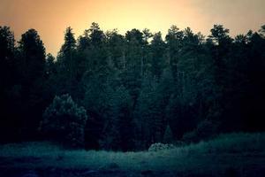 Top 10 Best Wilderness Survival Schools