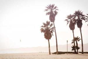 Top 10 Good Qualities of an Introvert