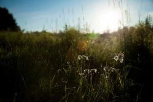 Top Ten Reasons Why Christianity is Wonderful