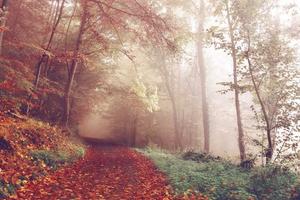 Top Ten Best Things About Being a Quiet Person