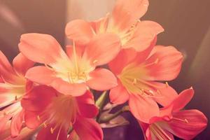 Top Ten Verses in the Gospel of Matthew