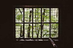 Top 10 Similarities Between SJWs and the Alt Right