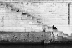 Top 10 Misconceptions About Introverts