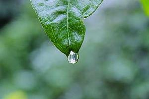 Top 10 Best Call of Duty: Modern Warfare 2 Levels