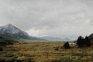 Top 10 Kuroshitsuji Fanfiction Authors