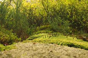 Top 10 Beautiful Verses from Religious Scriptures