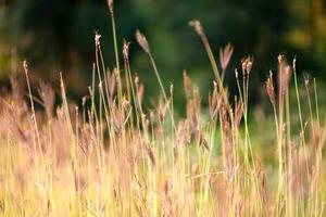 Top 10 Brain Training Apps