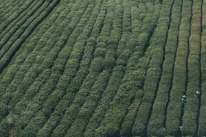 Best Sales Jobs Available Now and Forever